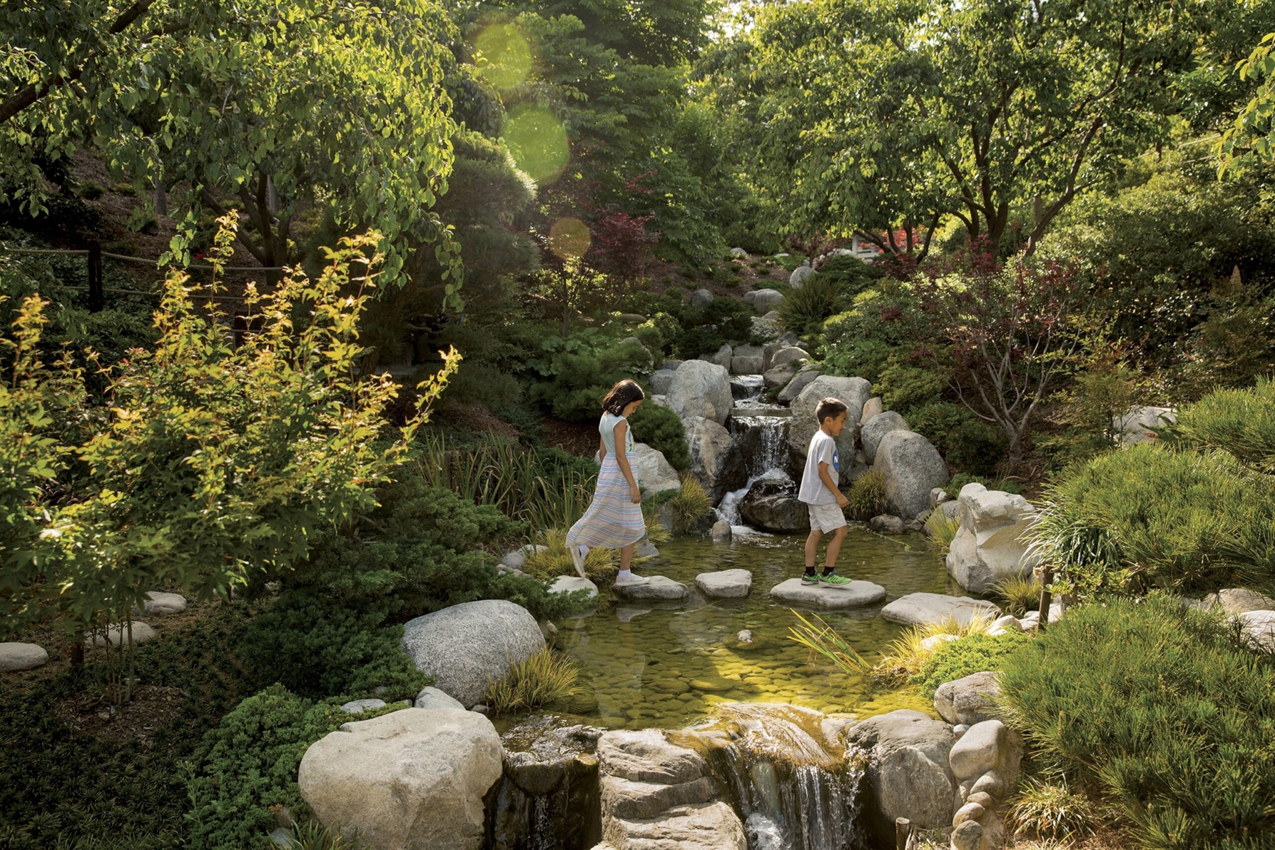 Mindfulness and Environmental Stewardship in Public Gardens