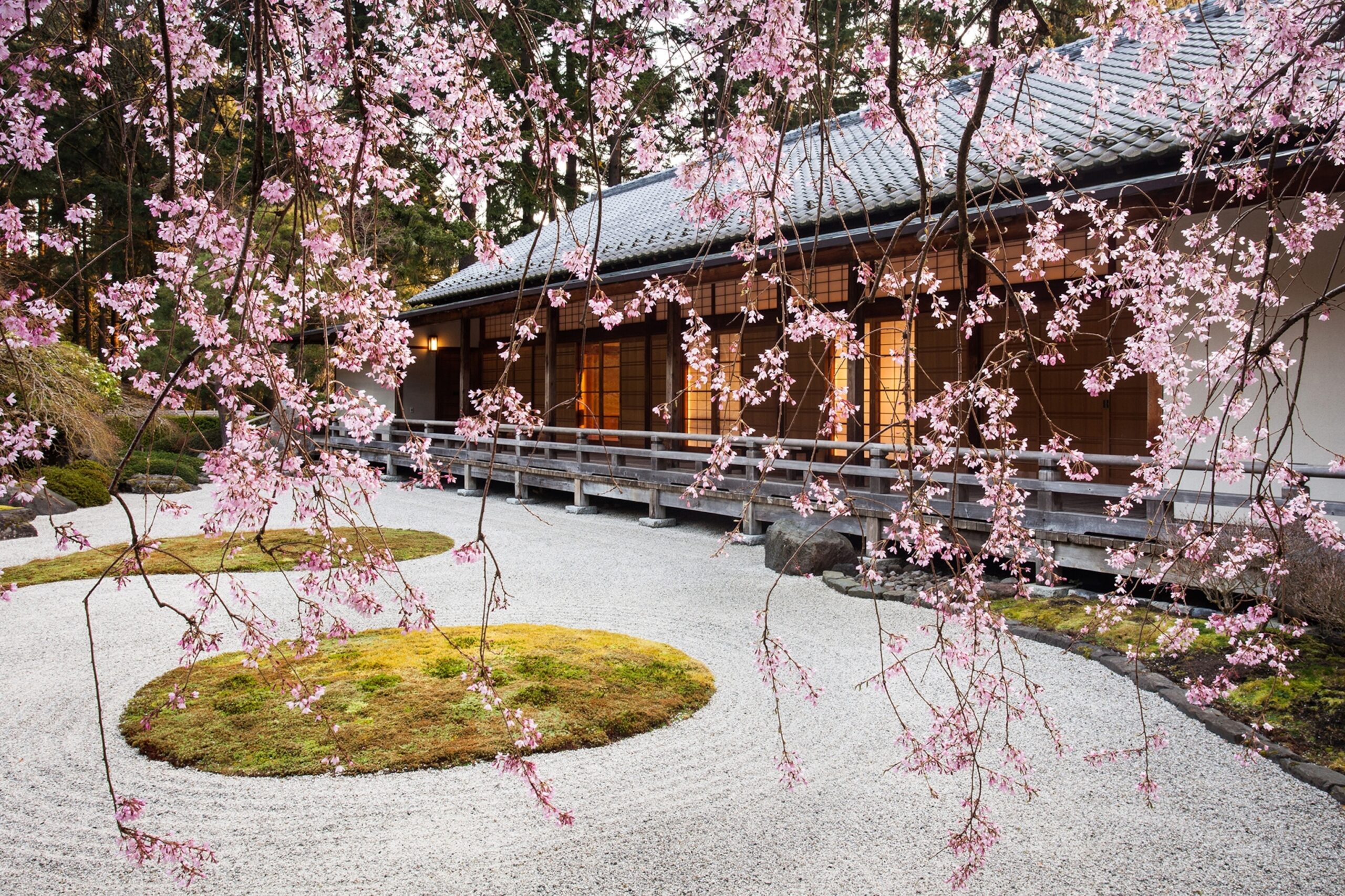 Mindfulness and Environmental Stewardship in Public Gardens